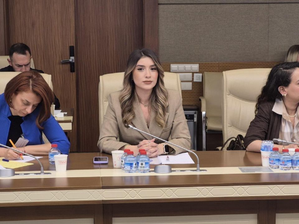 Genel Sekreterimiz Sinem Akşemsettinoğlu Tbmm’de Okul Güvenliği Ve Şiddetin Önlenmesine Yönelik Toplantıya Katıldı