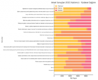 Anket Sonuçları