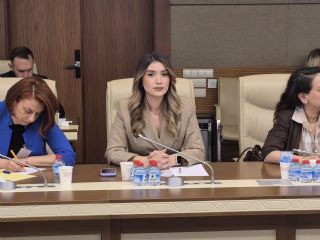 Genel Sekreterimiz Sinem Akşemsettinoğlu Tbmm’de Okul Güvenliği Ve Şiddetin Önlenmesine Yönelik Toplantıya Katıldı
