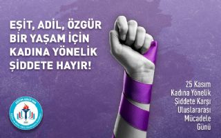 Görünmeyen Kadınlar, Görülmeyen Şiddet